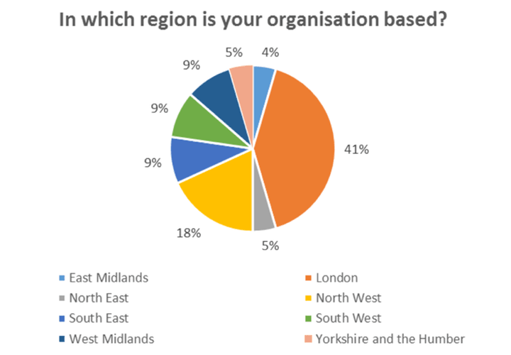 Executive summary - surveyed regions breakdown